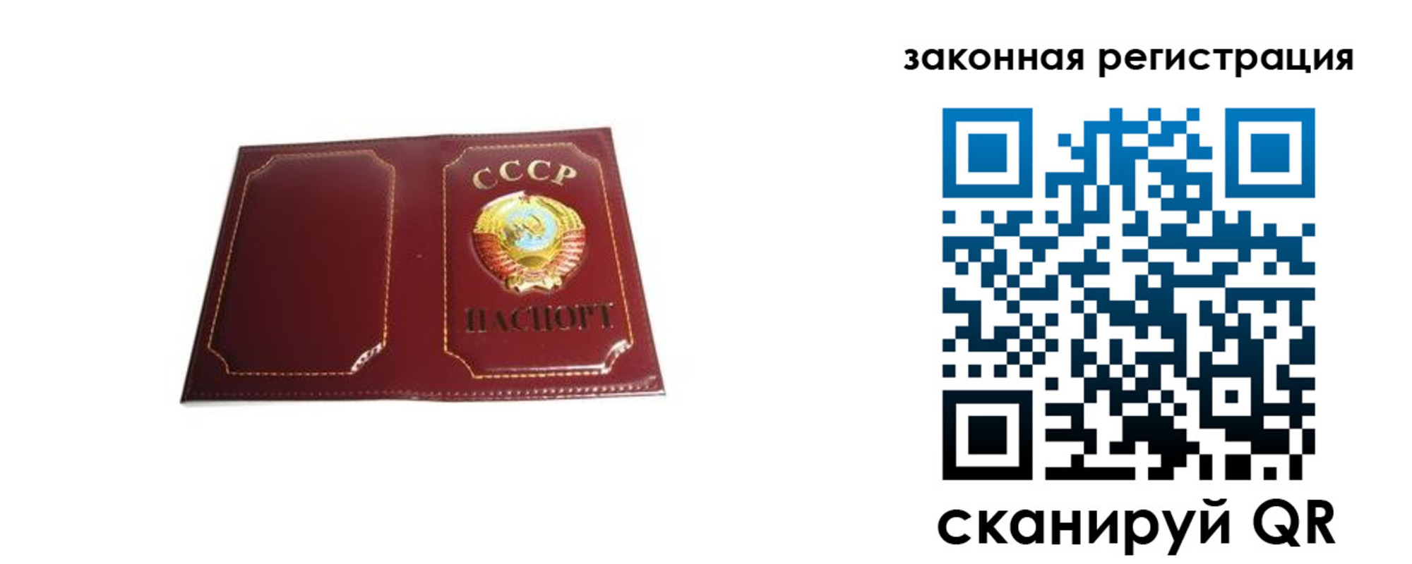 прописка поиск в Брянской области